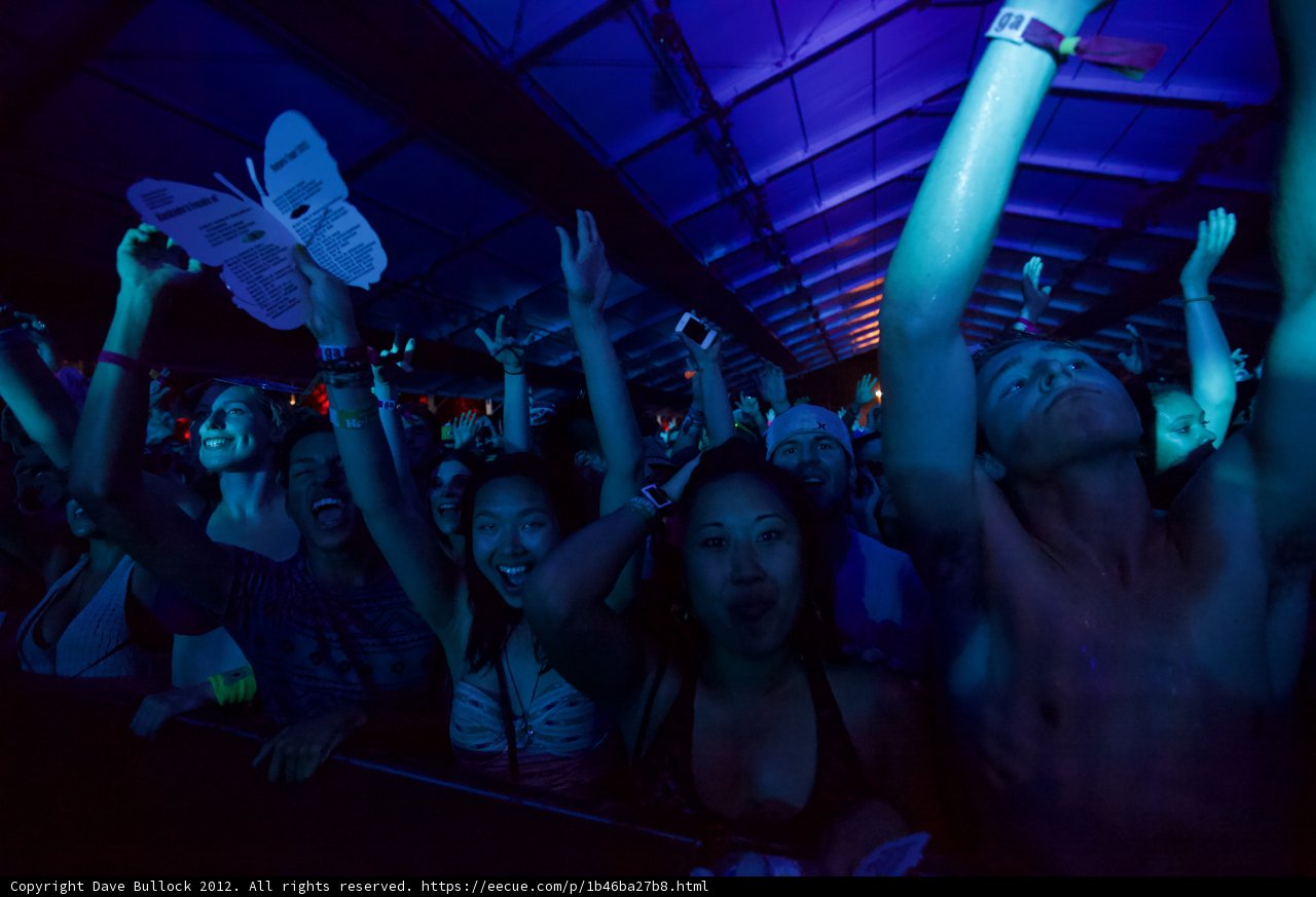 Hands in the Air at Coachella Weekend 2