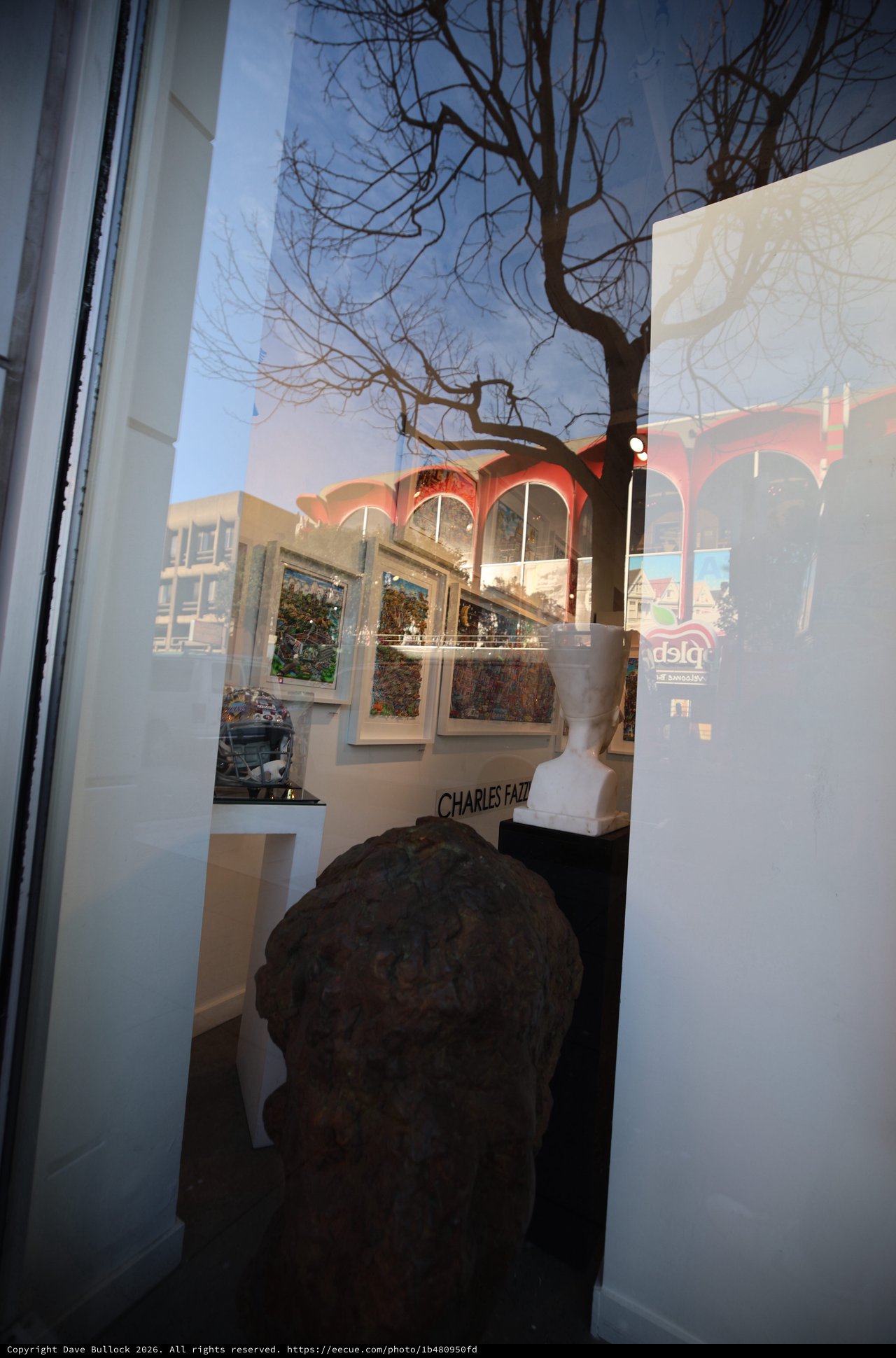 Gallery Window Reflection with Bare Winter Trees