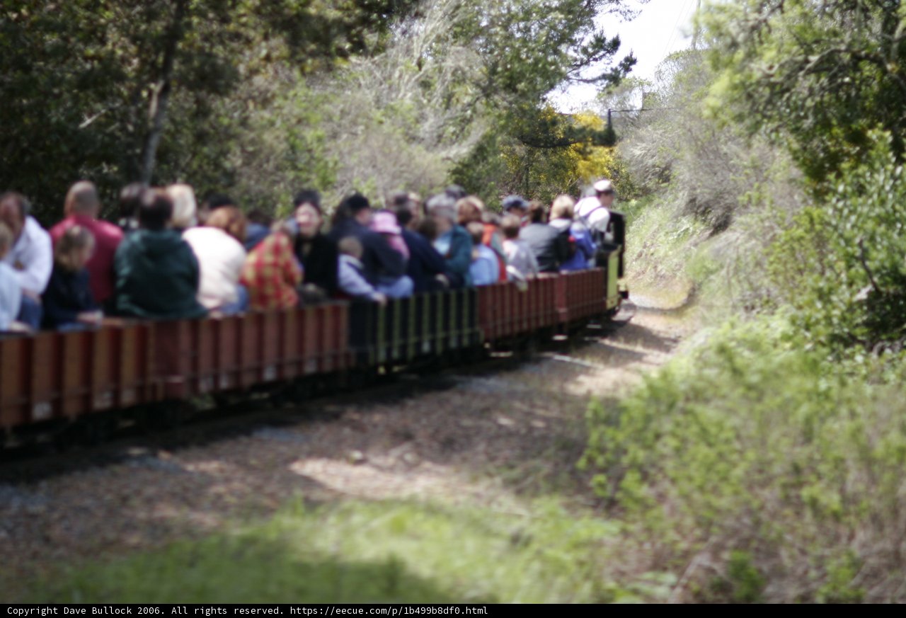 Packed Train Ride