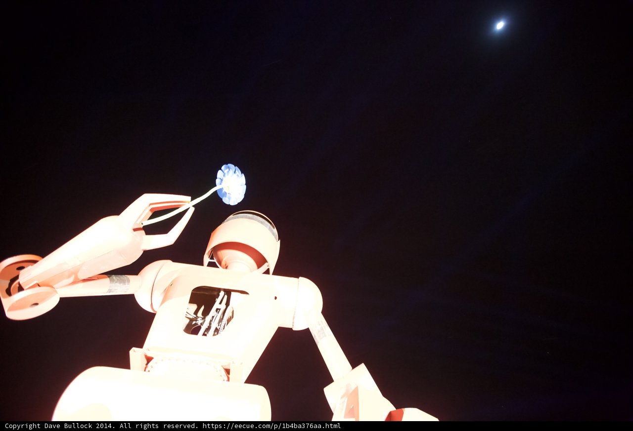 Robot and Flower under the Night Sky