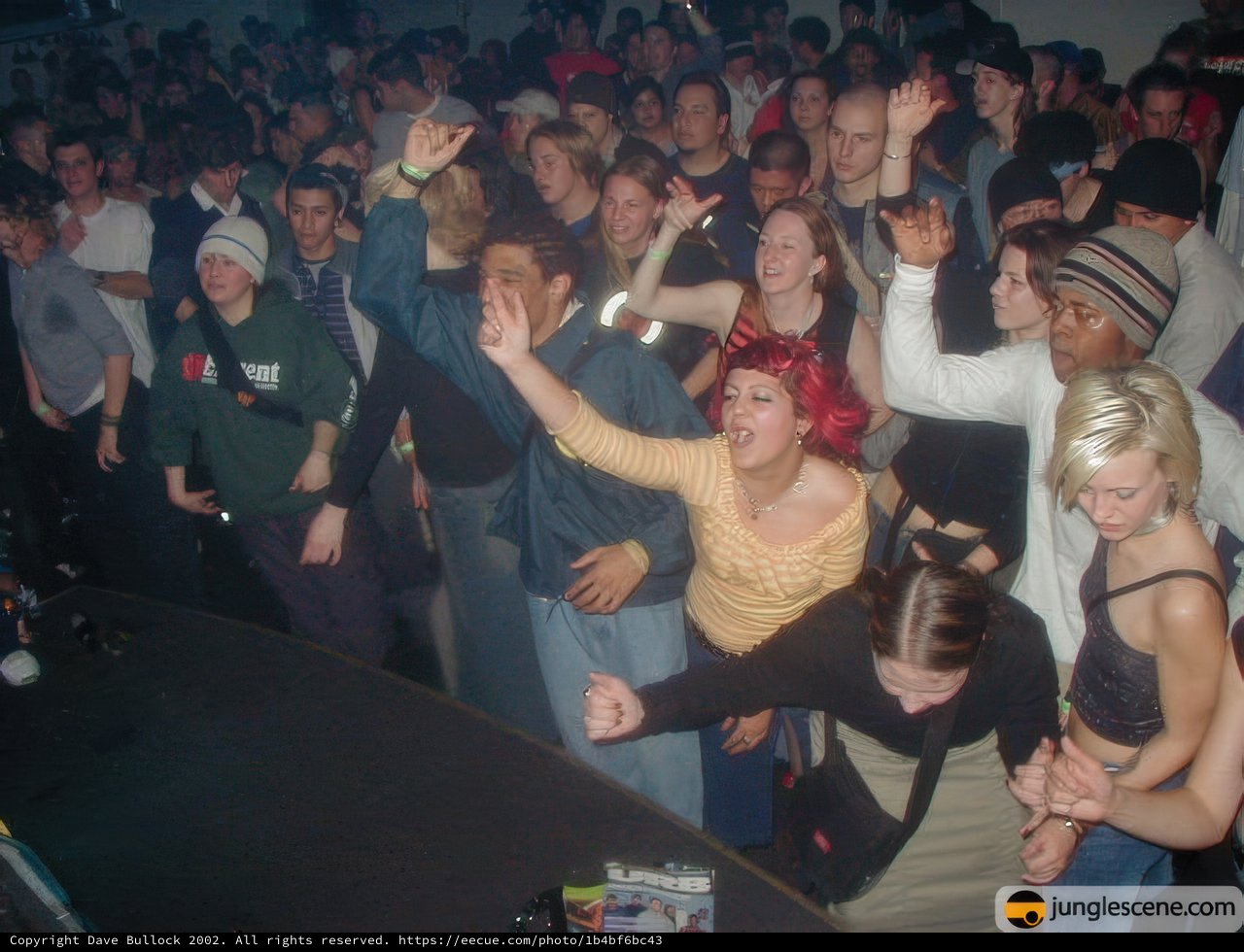 Nightlife Fun at the Disco
