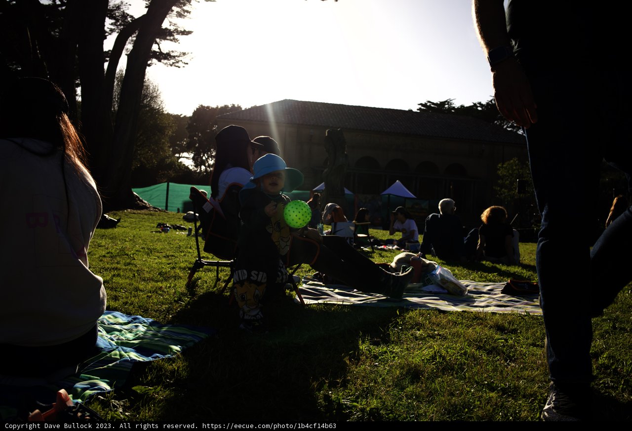 Golden Hour Delight during SF Zoo Sunset Fridays 2023