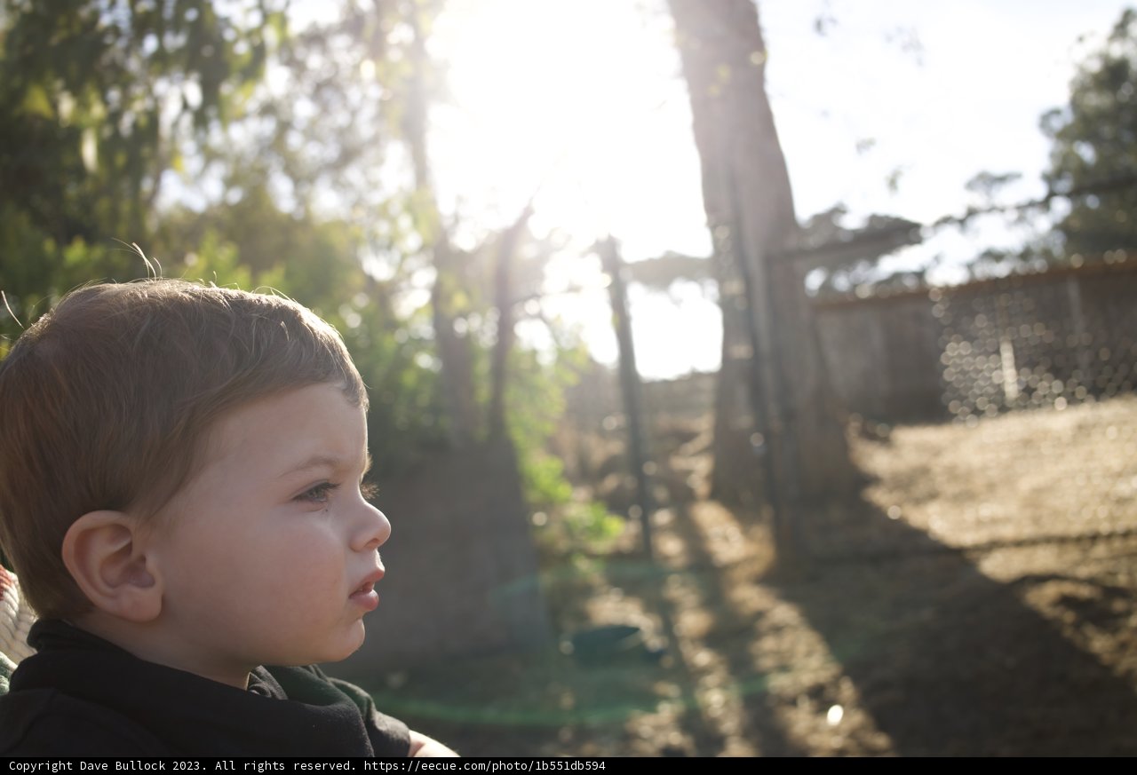Fascination in the Eye of Innocence