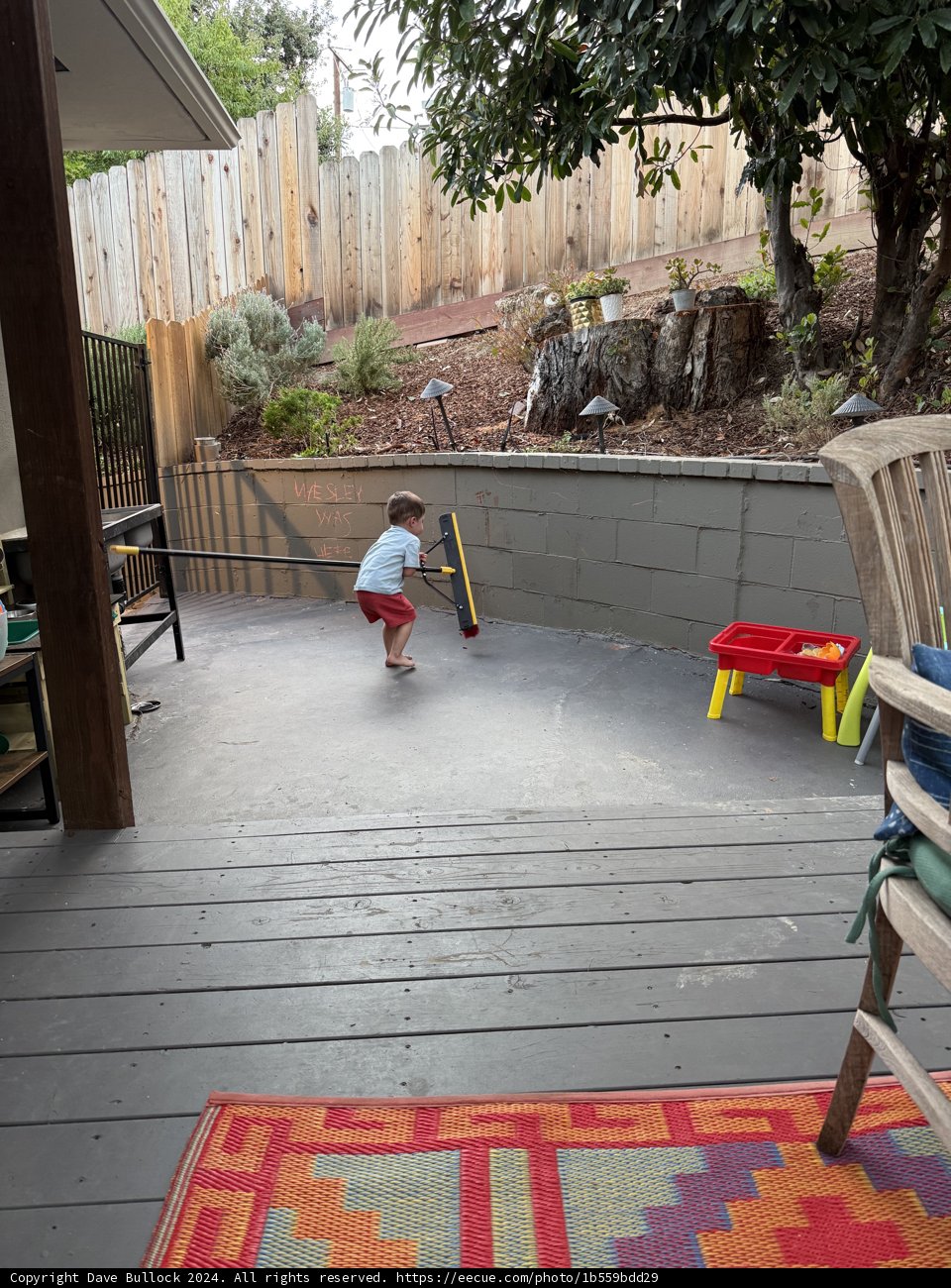 Backyard Adventures