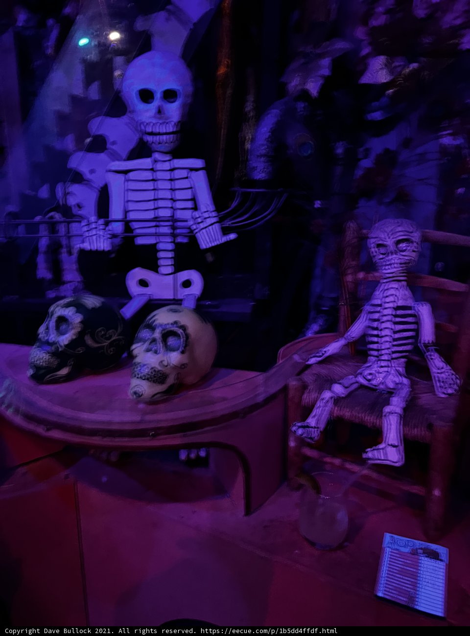 Day of the Dead Skeletons on Display