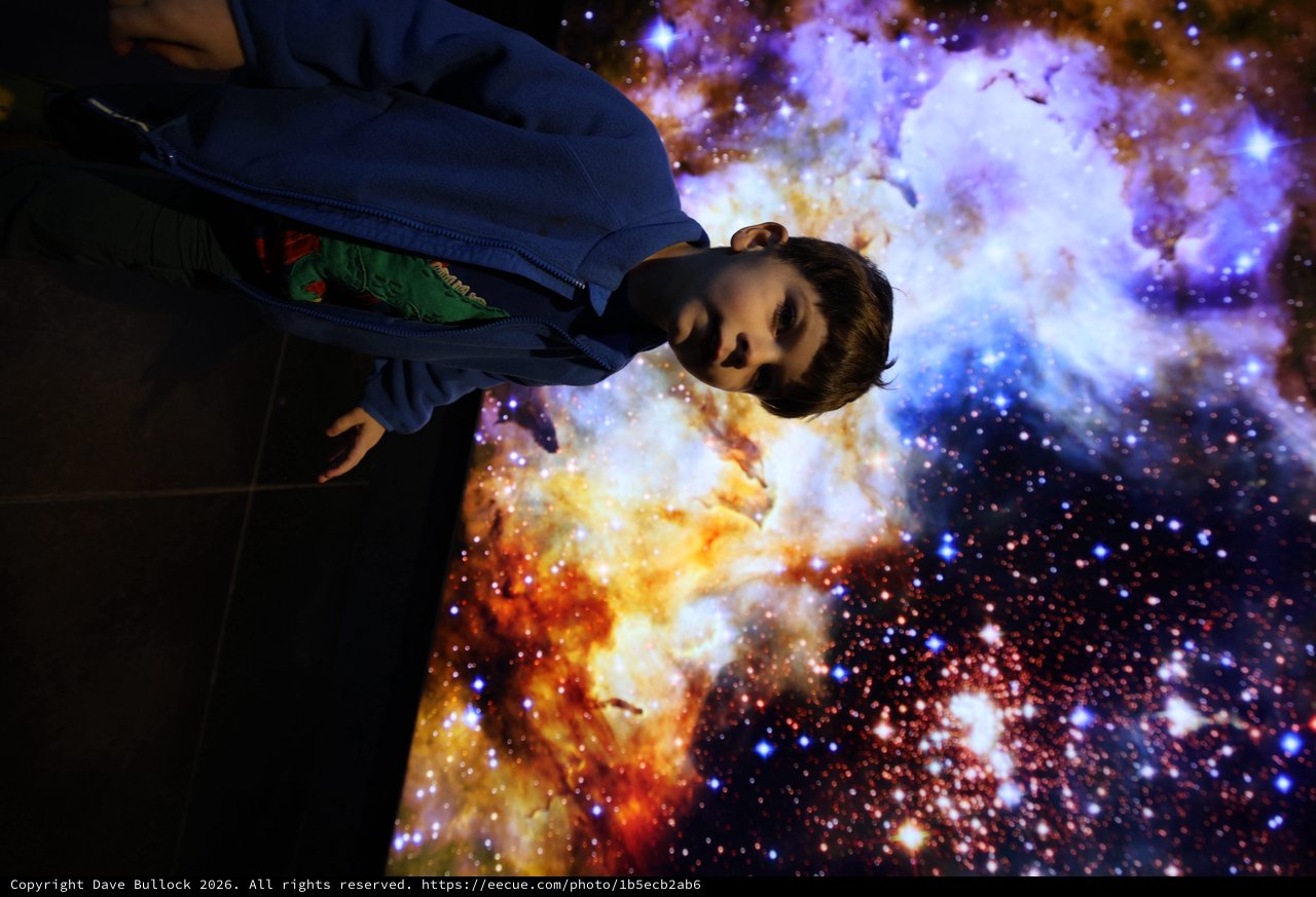 Contemplation Beneath the Cosmic Nebula Display