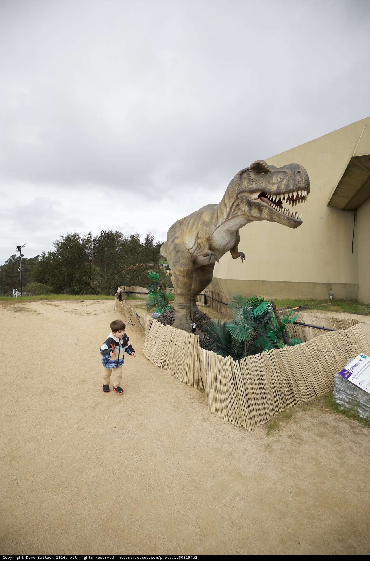Child Encounters Life-Size T-Rex Display at Outdoor Exhibit