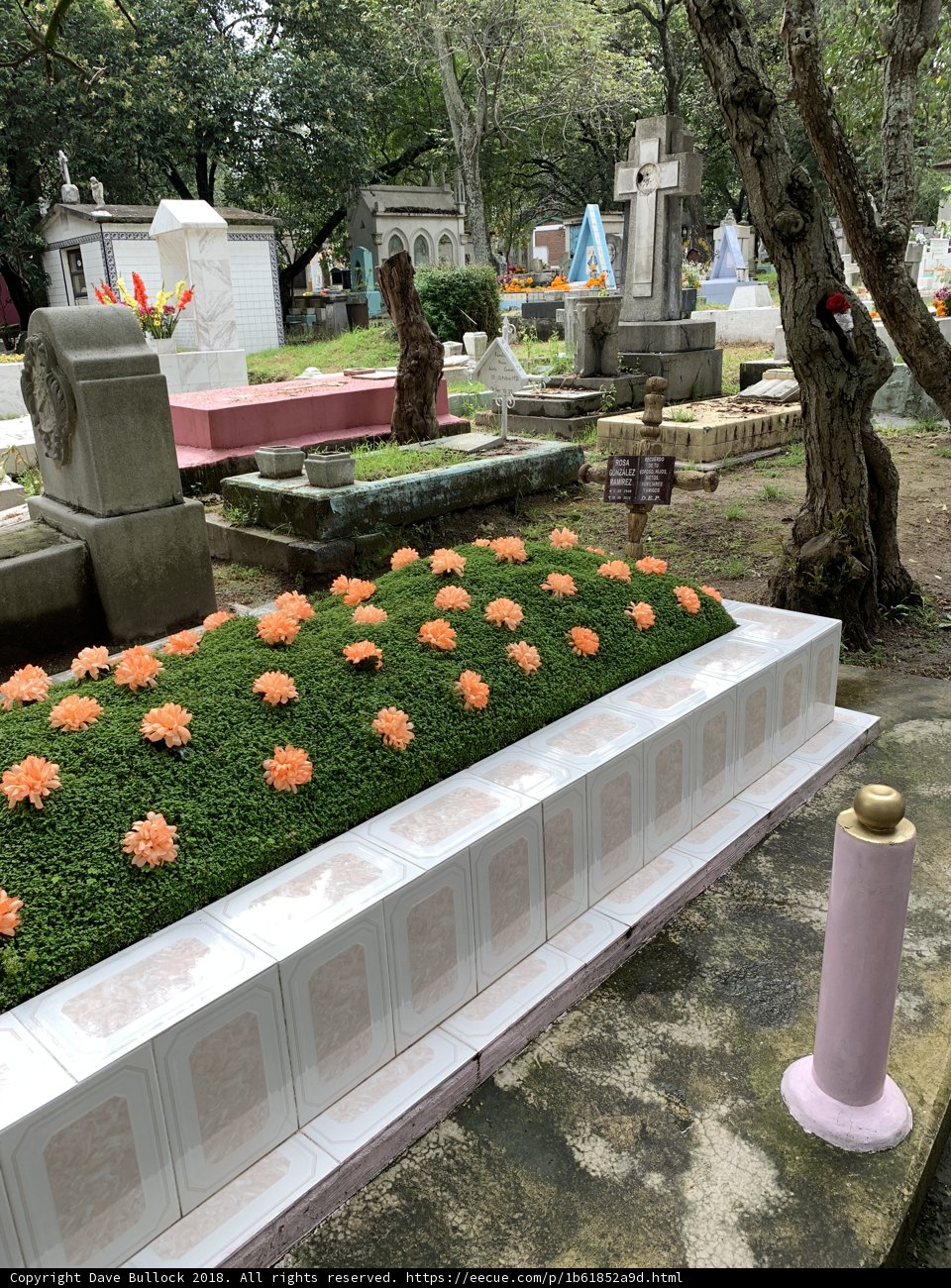 Remembering a Loved One