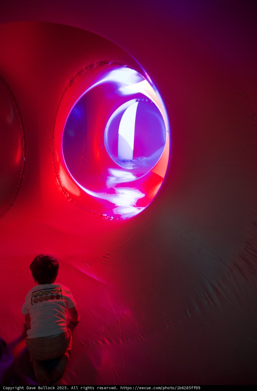 Illuminated Adventure
