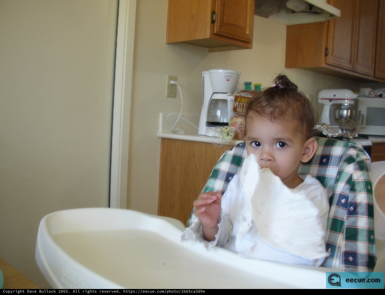 Baby's First Bite