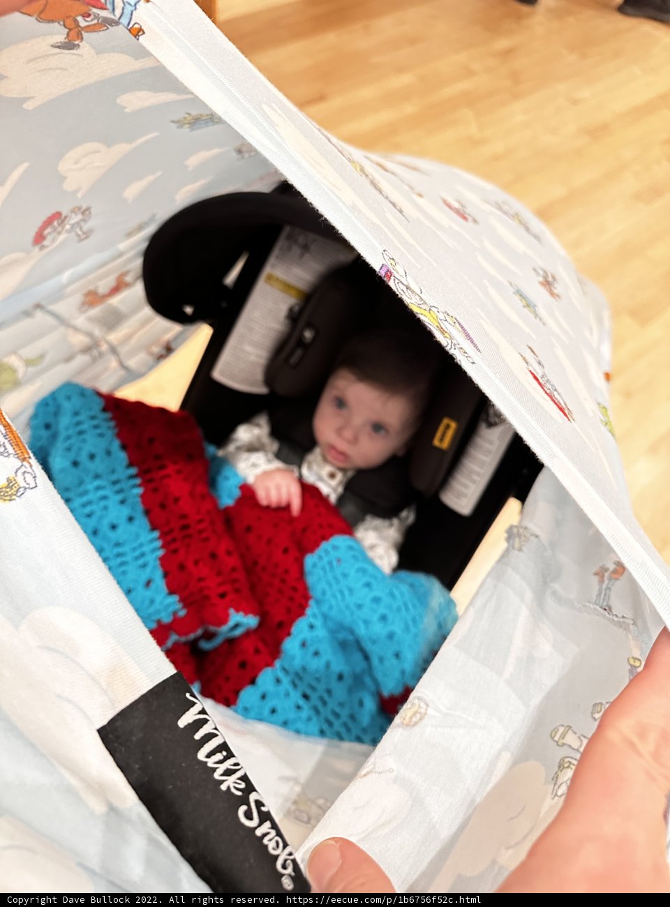 Baby with Cozy Blanket in Car Seat