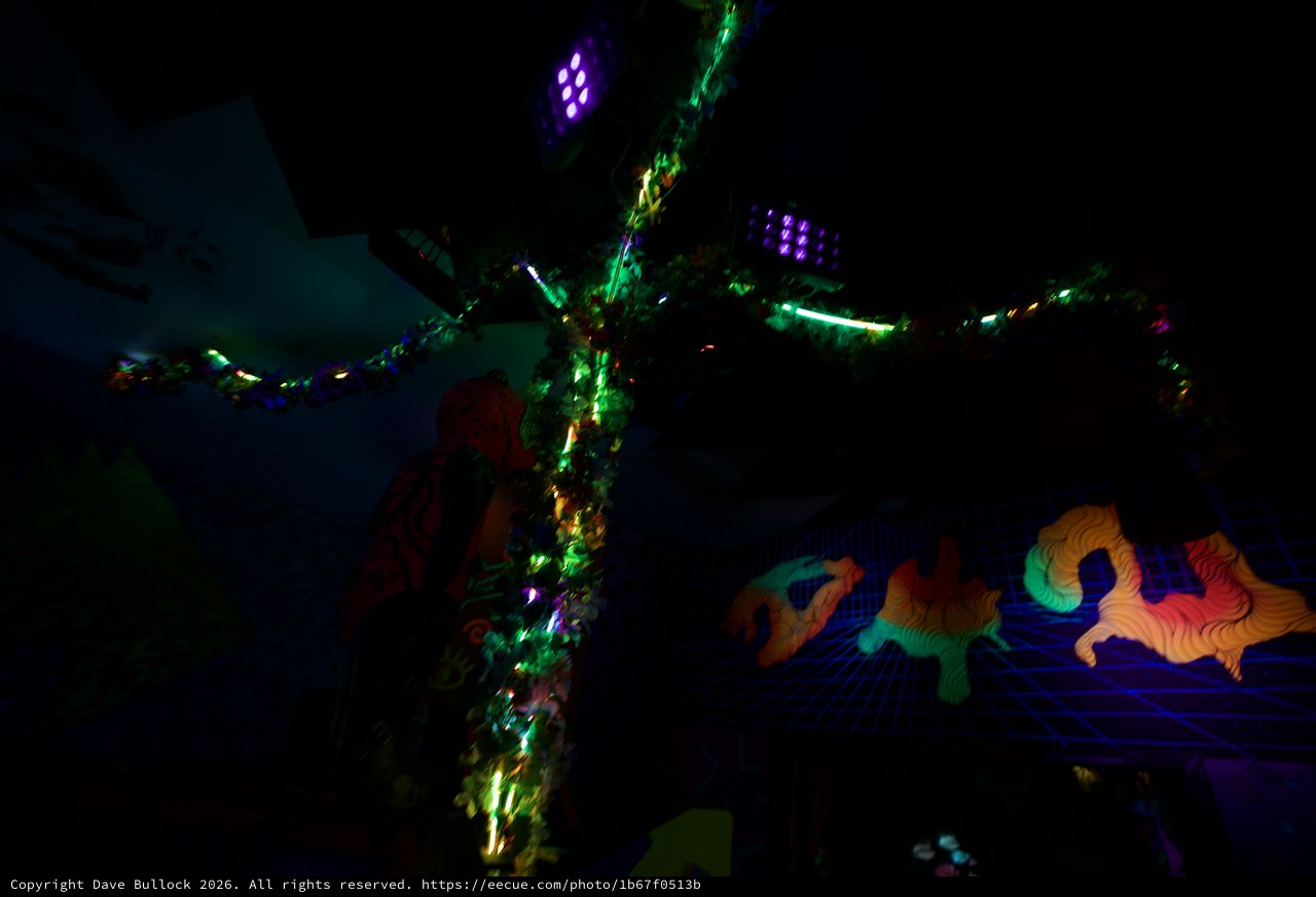 Illuminated Dragon Installation in Festive Night Display