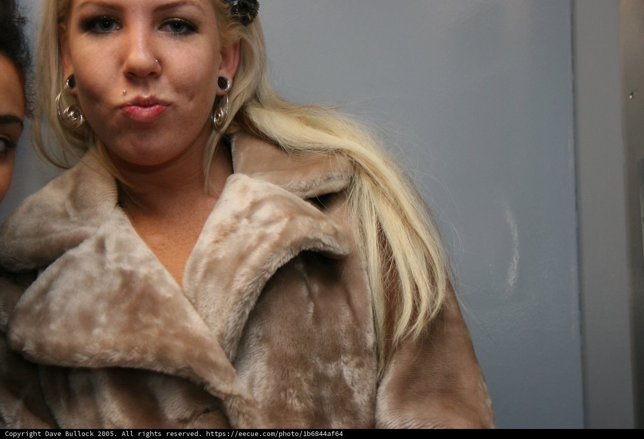 Double the Fur, Double the Style