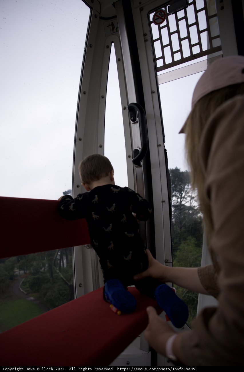 Scaling New Heights: A Day in the Park