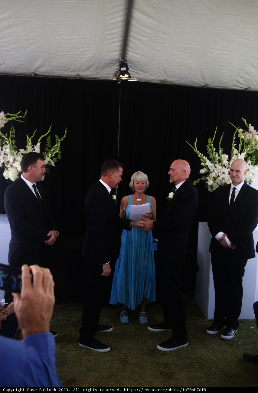 Wedding Party Pose with Stunning Floral Gown