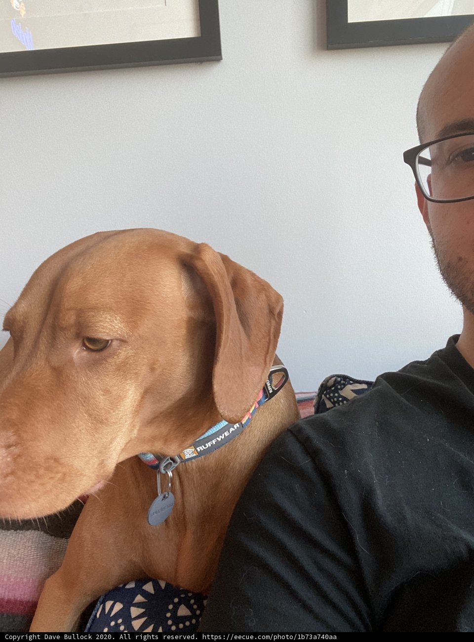 Man and his Canine Companion