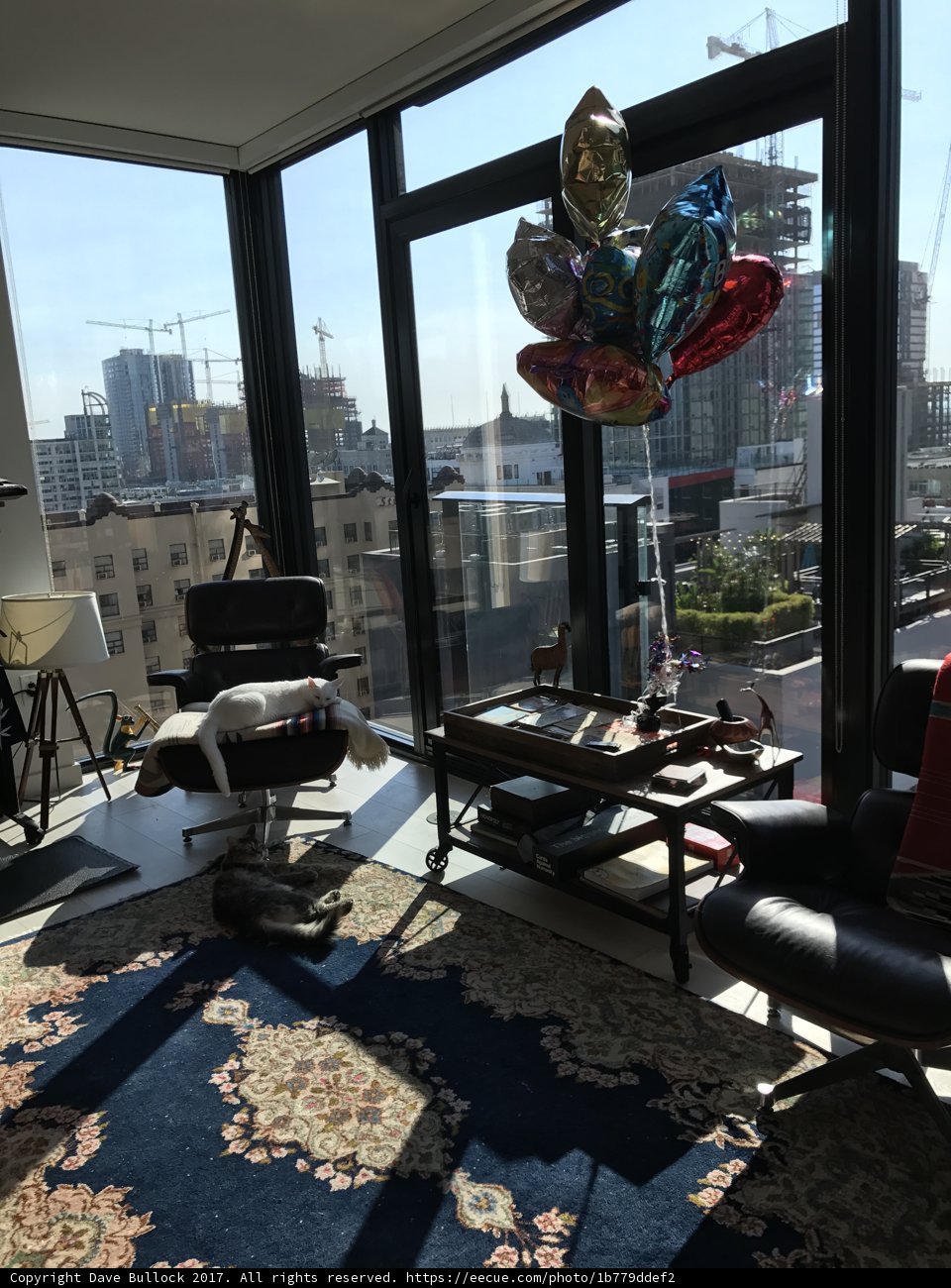 Living Room Oasis