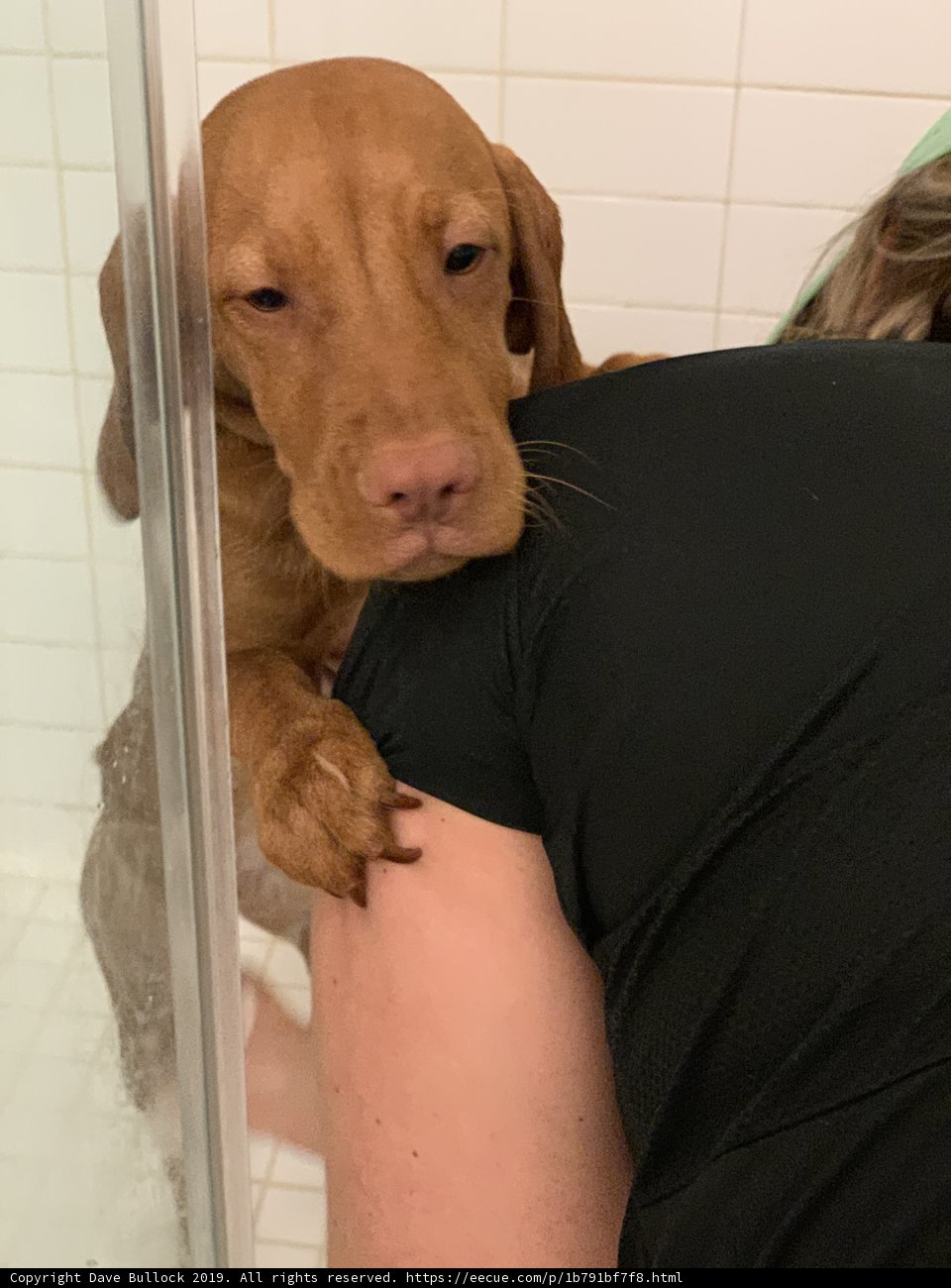 Showering with my furry friend