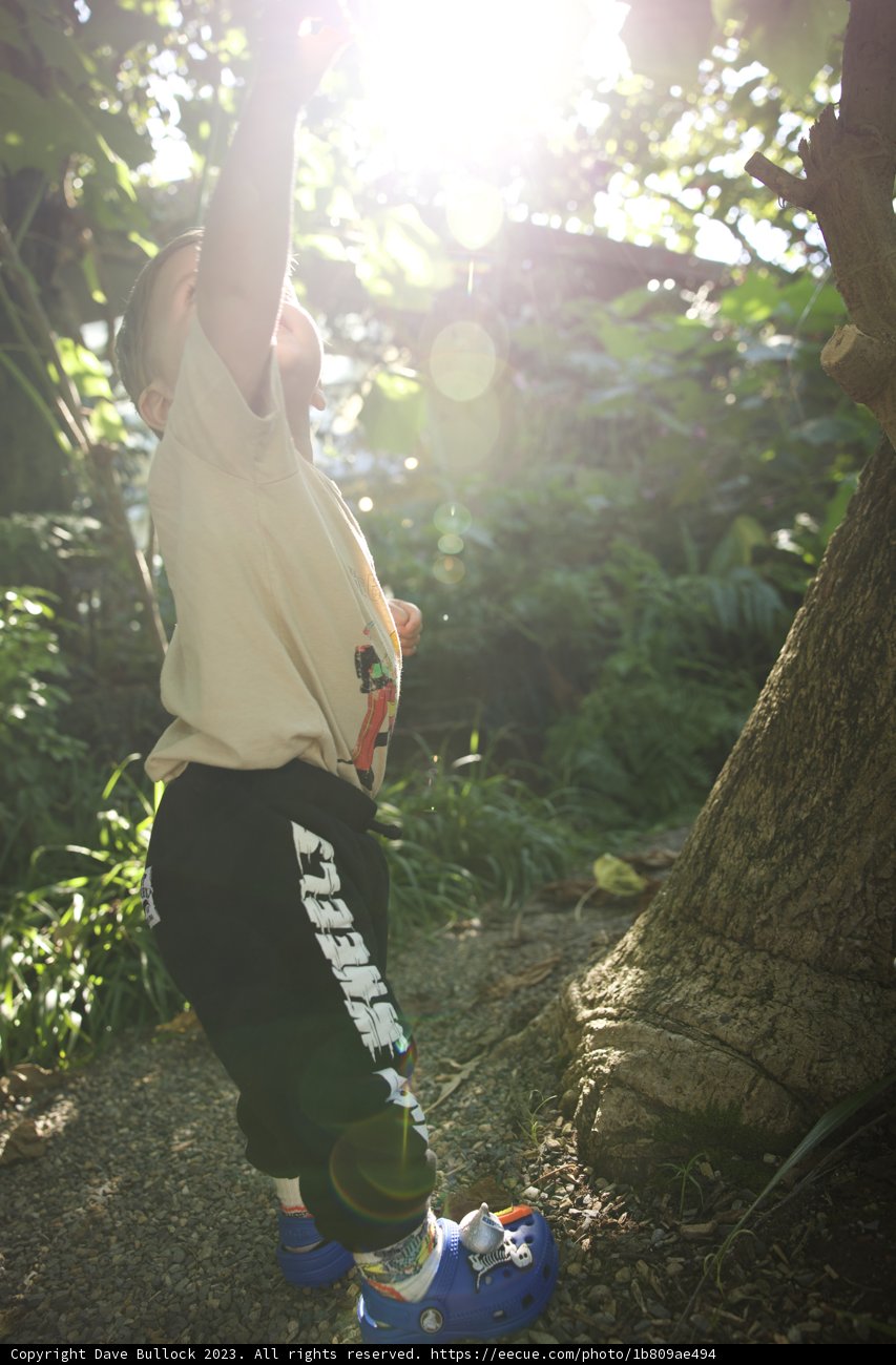 The Young Explorer in San Francisco Botanical Garden