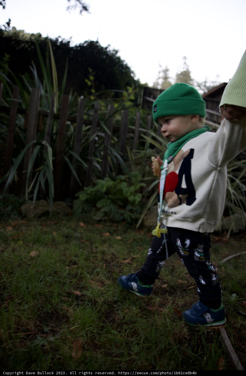Little Adventurer in Big Sur