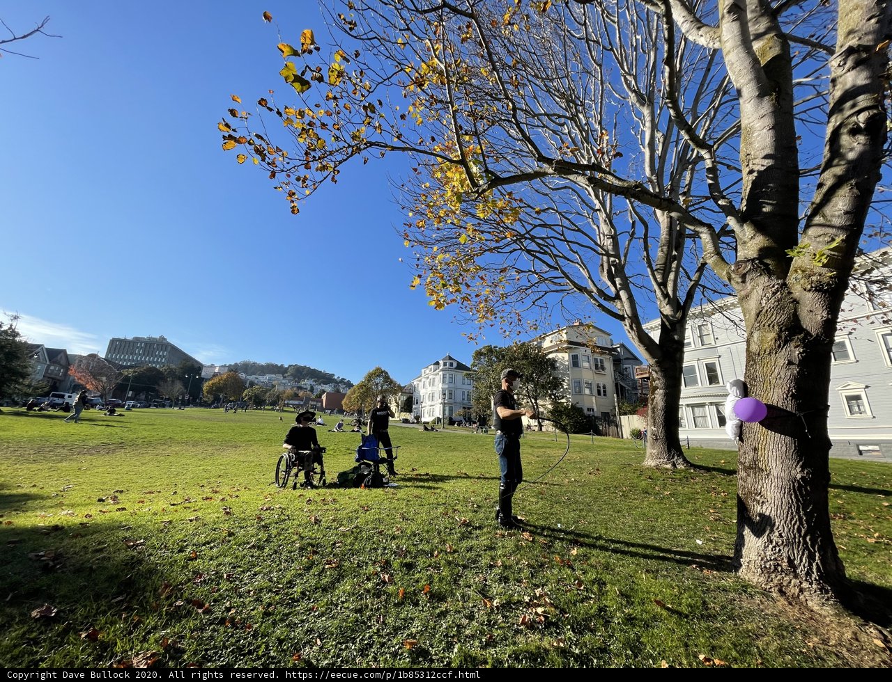 A Day in Duboce Park