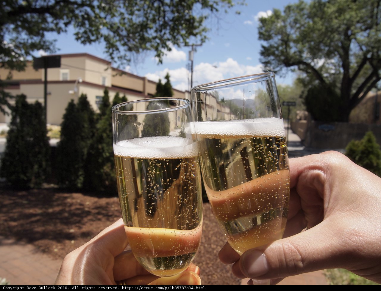 Celebrating with Bubbles