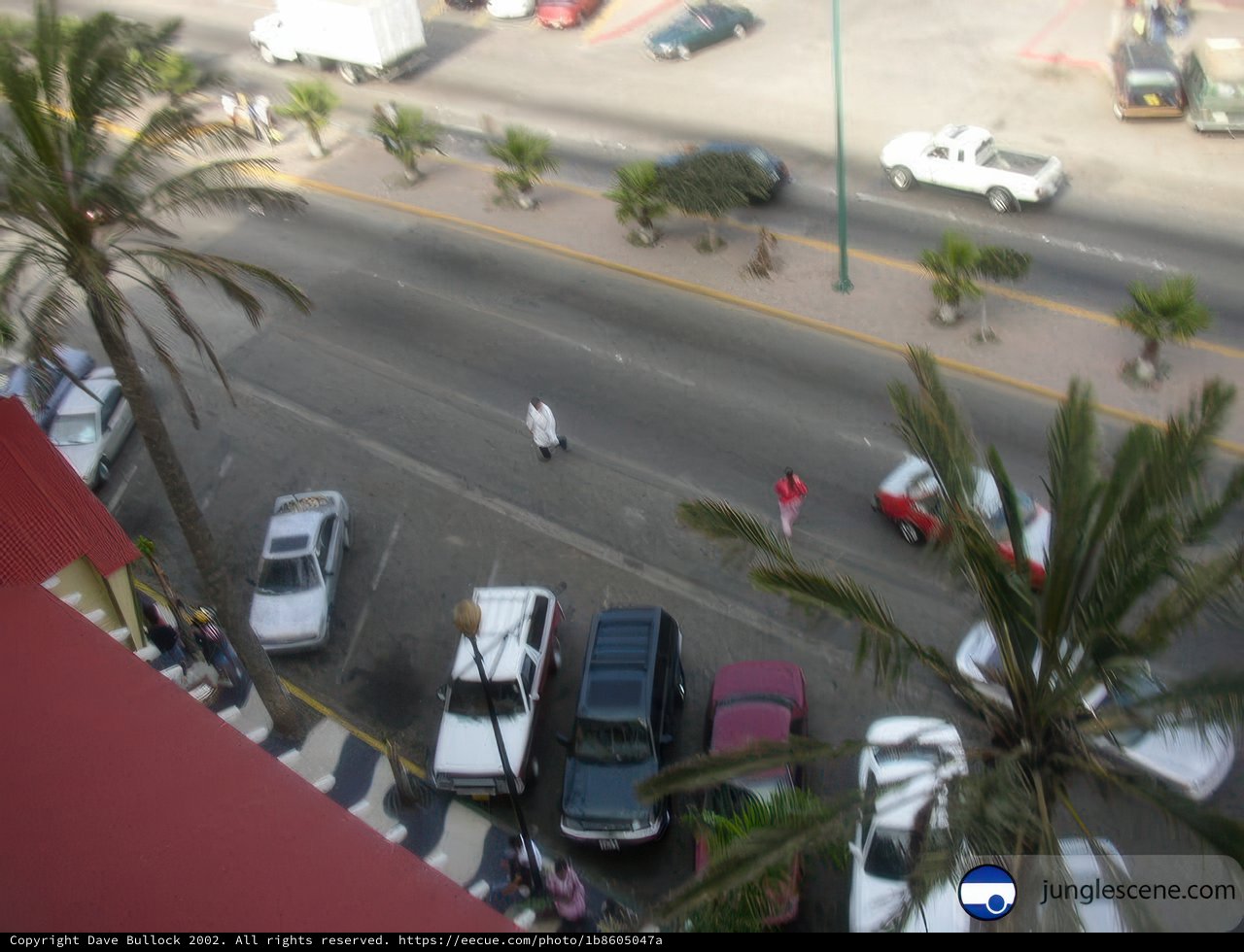 Beach Cam in Mexico City