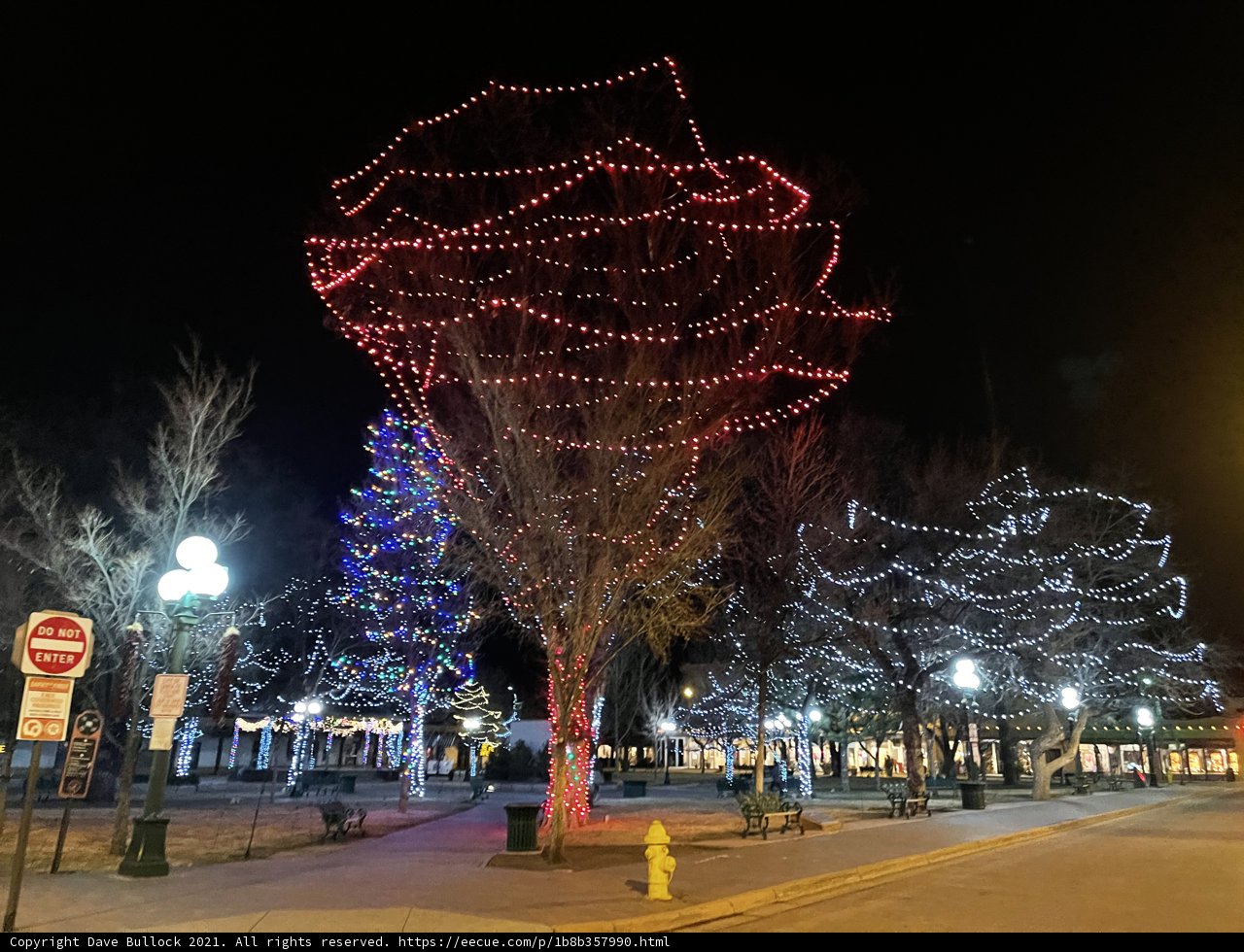 Urban Christmas Tree and Street Light