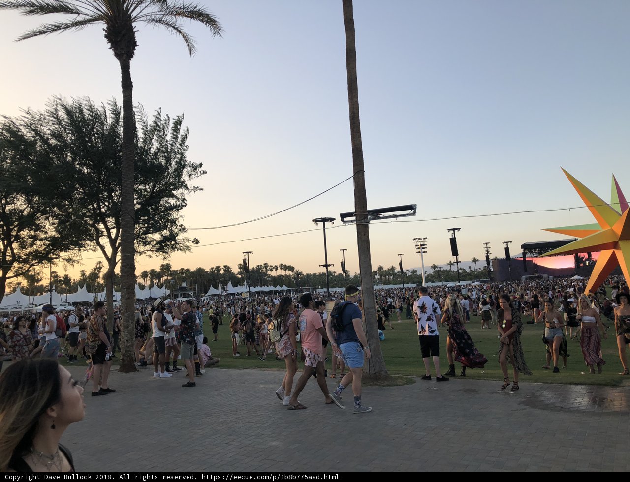A Sunny Stroll Through the Palms