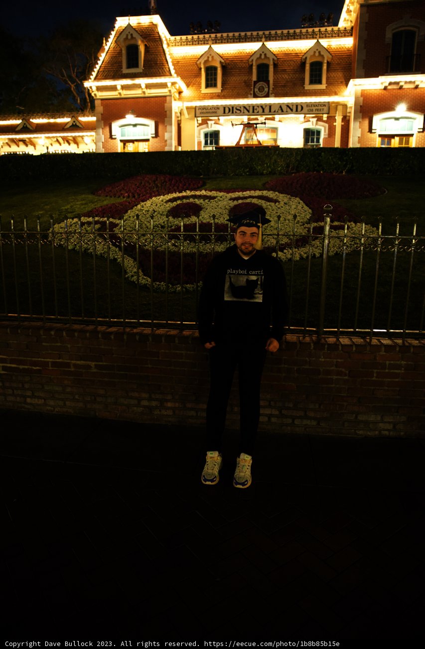 Blooming Adventures at Disneyland