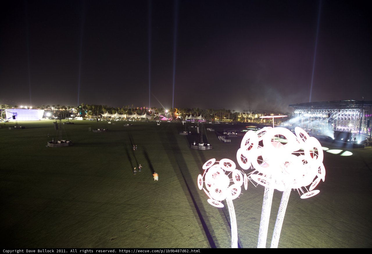 Field of Lights and flowers