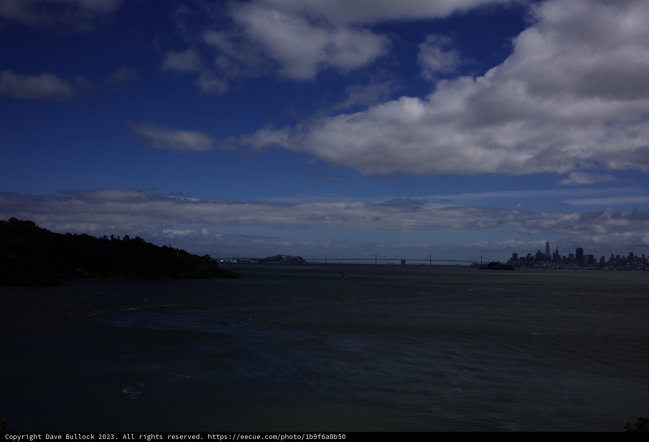 Tiburon Bay: A Blend of Urban and Natural Beauty