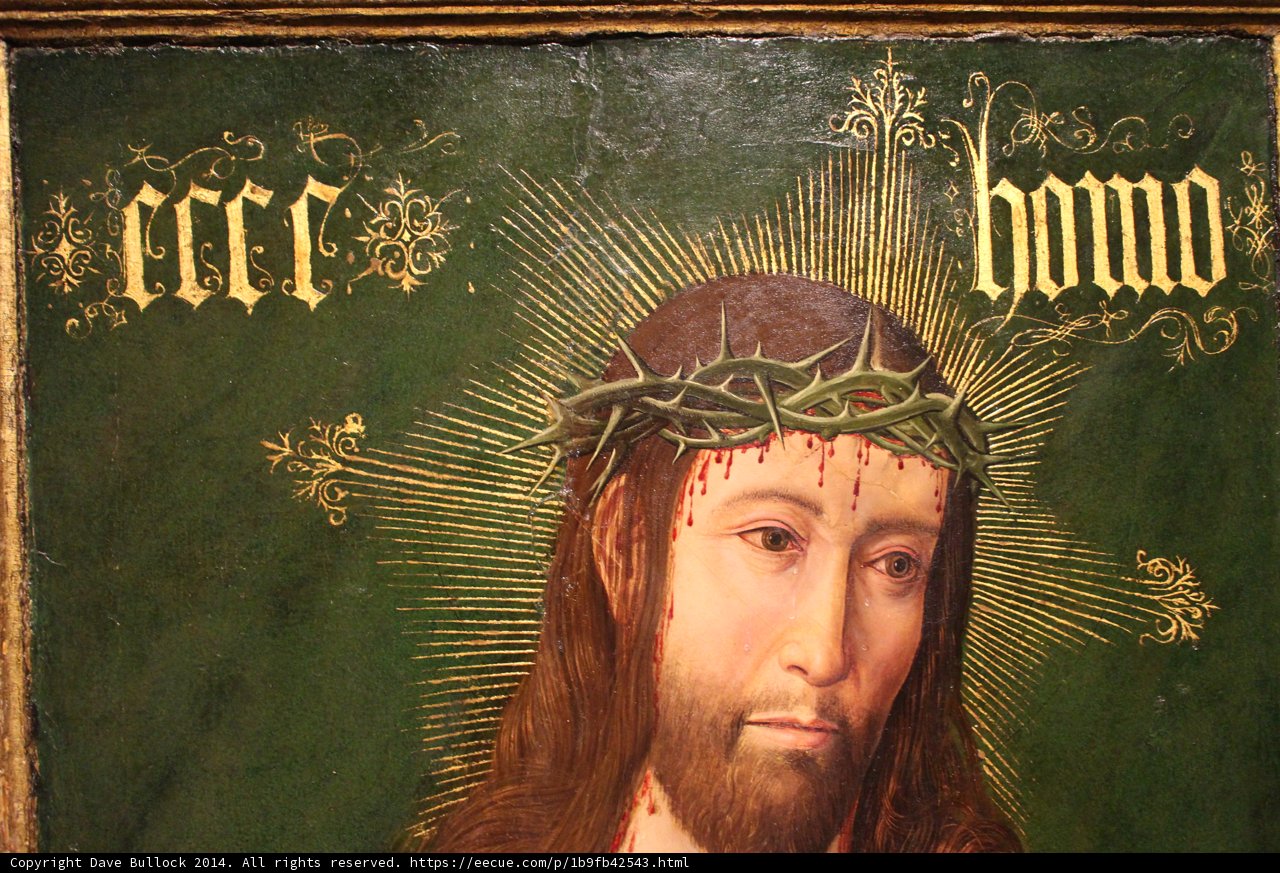 The Suffering Savior