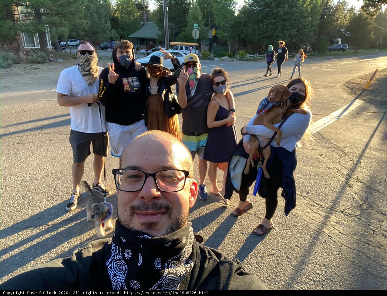 Selfie Time with Our Four-Legged Friend