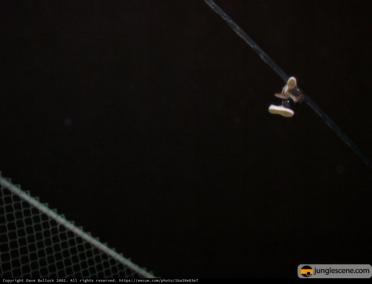 A Tennis Racket Hangs Loose