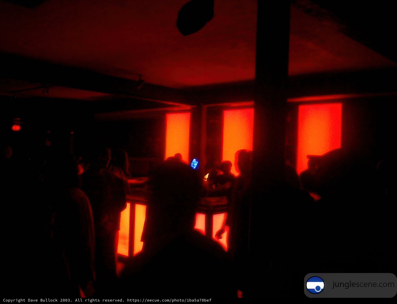 Nightclub Vibes