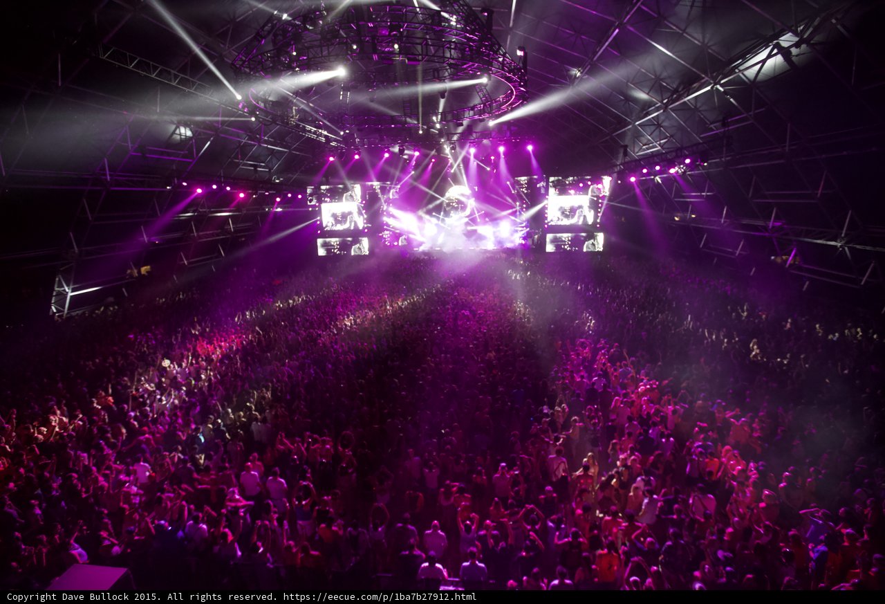 Purple Haze Concert