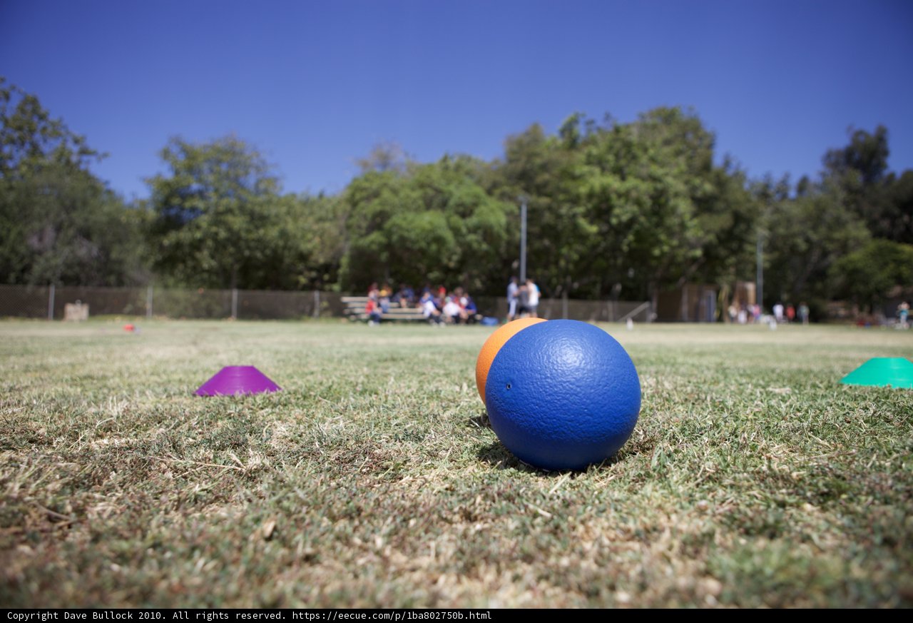 Colorful Sphere on the Grass