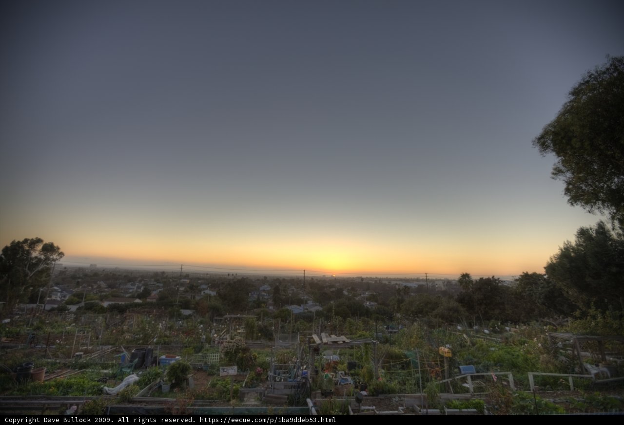 Rooftop Retreat: Capturing the Last Rays of a Community Garden Sunset