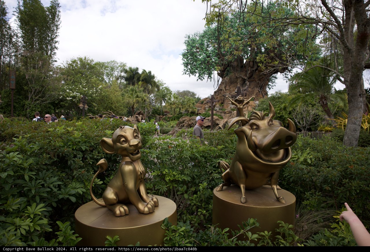 Welcoming The New Addition to Disneyland's Animal Kingdom