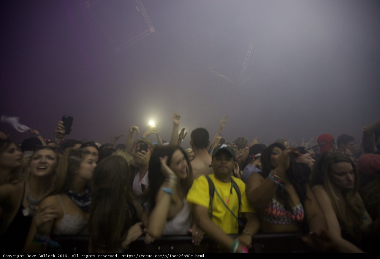 Coachella 2016 Concert Crowd