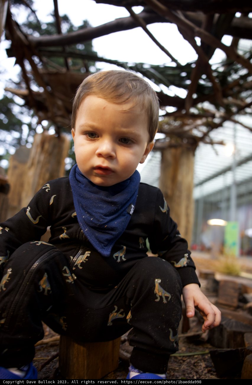 Wesley's Autumn Afternoon in the Park