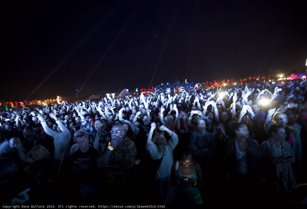 Hands Up at Coachella