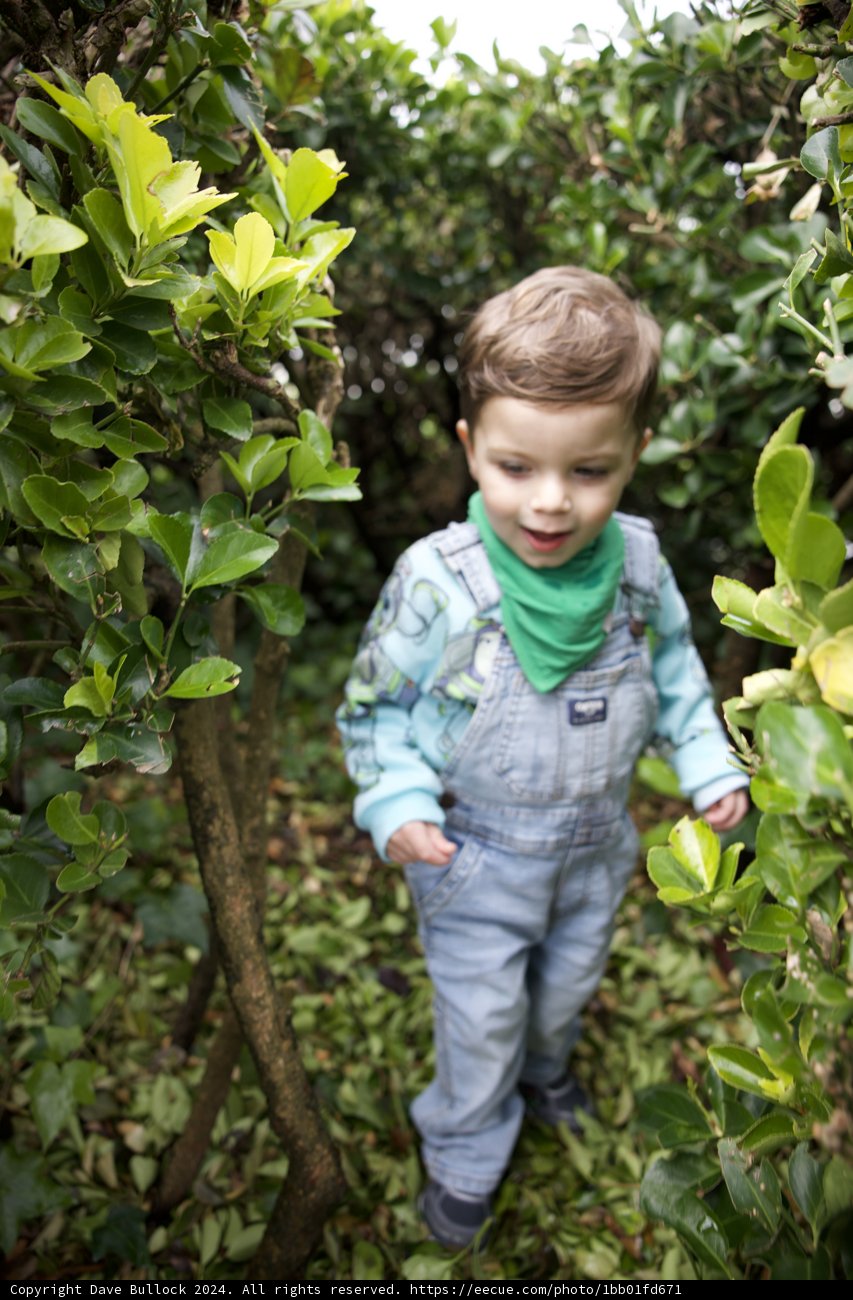 Hide and Seek in Nature's Embrace
