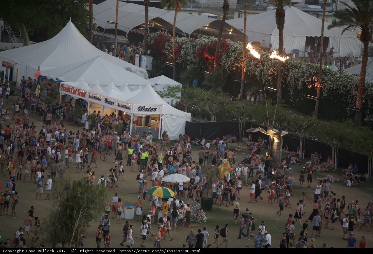 Festival Fun under Palm Trees