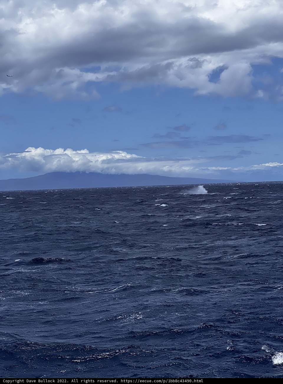 Towering Wave in the North Pacific