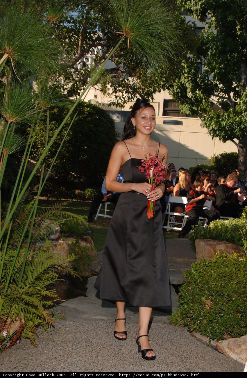 Black Dress Elegance