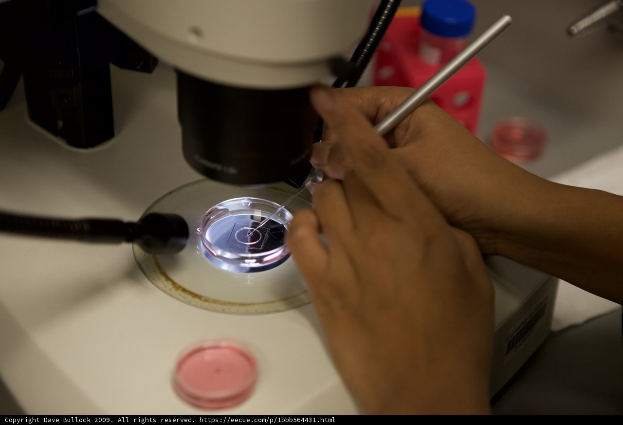 Exploring the Microscopic World
