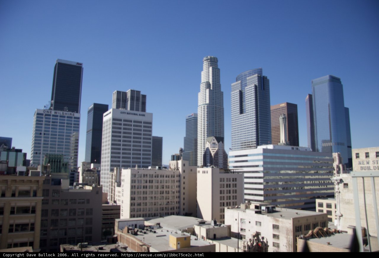 Above the Urban Jungle