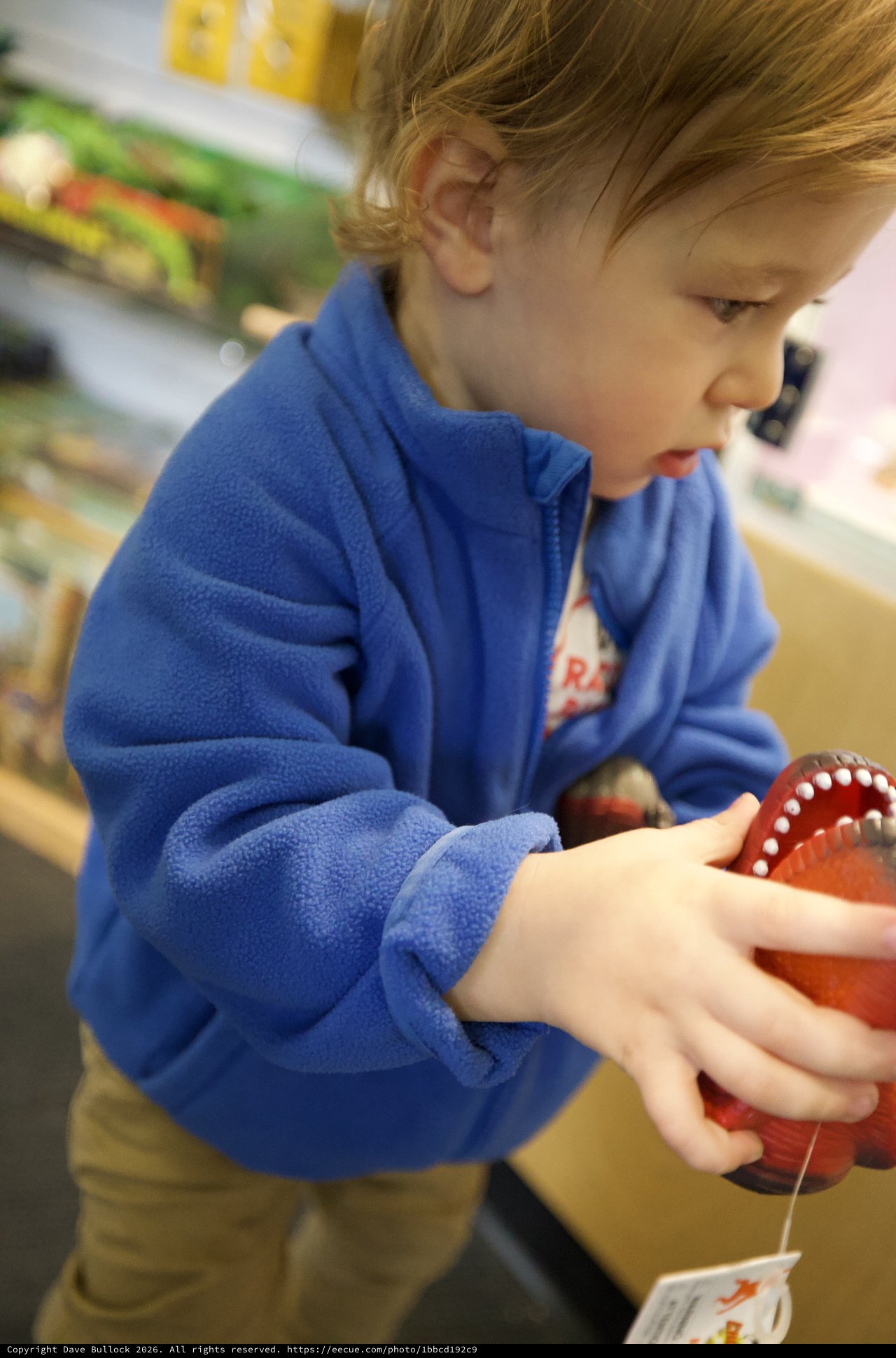 Young Child Exploring Dental Model in Educational Setting